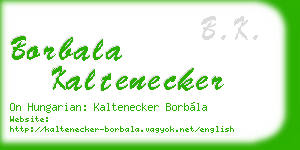 borbala kaltenecker business card